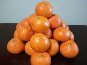 mikan130315.jpg