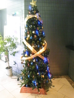 tree_hiru.jpg